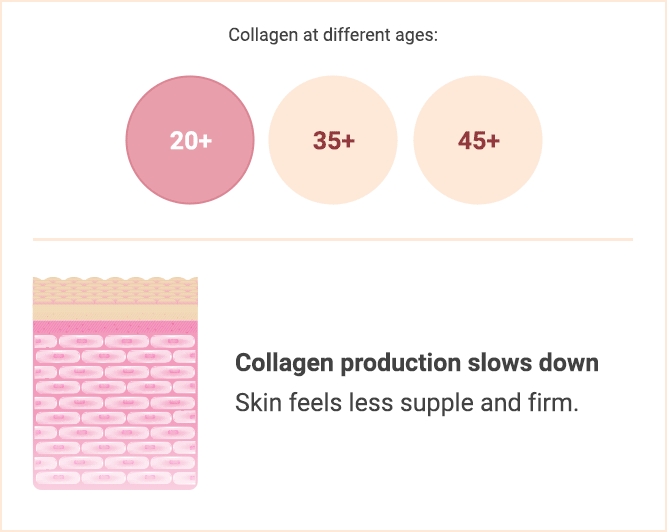 collagen at different ages
